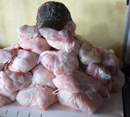 Comerciante é multado em R$ 25 mil por venda de carne de jacaré em Corumbá
