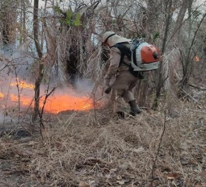 Contratação de brigadistas temporários para região do Pantanal é autorizada