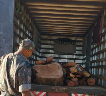 Motorista é autuado por transporte ilegal de madeira nativa em Bonito