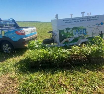 Campanha Bosque das Mães dá início aos primeiros plantios de árvores em Bonito; veja as fotos