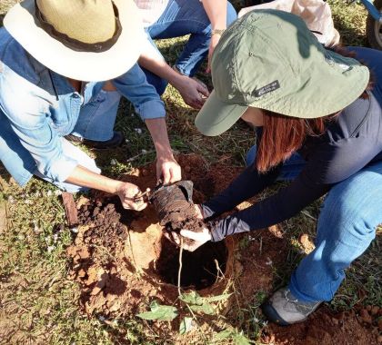 Mais de 100 mudas são plantadas na Rodovia do Turismo em Bonito