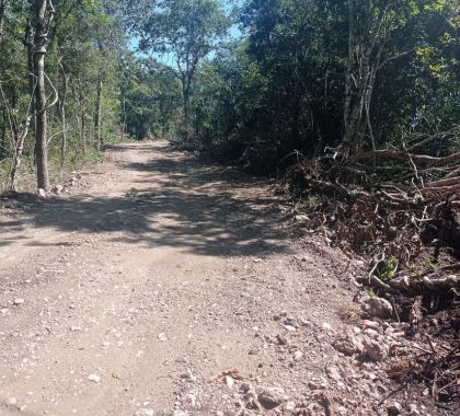 Infrator é multado em R$ 20 mil por abertura de estrada ilegal em Bonito