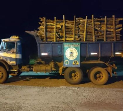 Caminhão com madeira ilegal é apreendido na MS-339, em Miranda