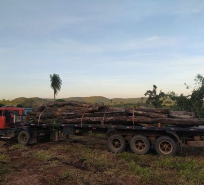 Carreta carregada com toras de madeira transportadas ilegalmente é apreendida em Bonito