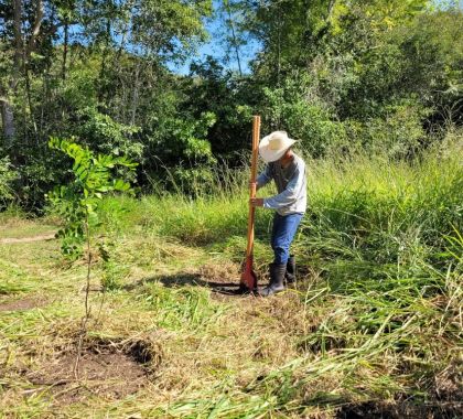 Mais de 1,1 mil árvores foram plantadas em Bonito e região