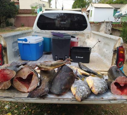 Pescador é multado por capturar peixes acima da cota e 30 kg de pescado são apreendidos em Anastácio
