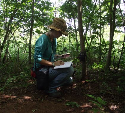 Evolução tecnológica é aliada no monitoramento das onças-pintadas no Pantanal