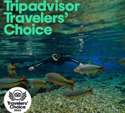 Atrativo de Jardim conquista Prêmio Travelers’ Choice 2022 do TripAdvisor