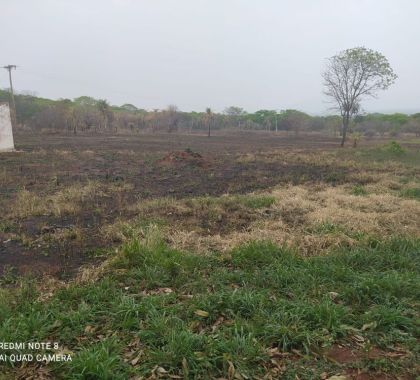 Associação é multada em R$ 5 mil por incêndio no Pantanal