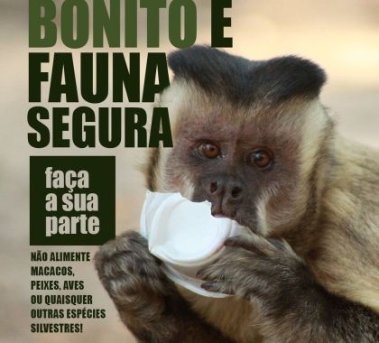 Em Dia Nacional de Defesa da Fauna, Sema de Bonito alerta para riscos em alimentar animais silvestres