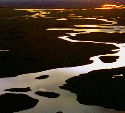 Semana do Meio Ambiente no Pantanal; veja a programação