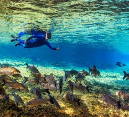 Flutuação nos rios de Bonito e região foi a atividade mais realizada pelos visitantes no mês de julho