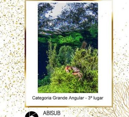 Imagem em atrativo turístico de Jardim ganha prêmio em concurso de foto sub