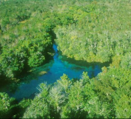 IFMS reconhece curso de Conservação da Natureza, idealizado pelo IHP, e o lança como pós-graduação