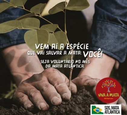 Abertas inscrições para trabalho voluntário na Fundação SOS Mata Atlântica