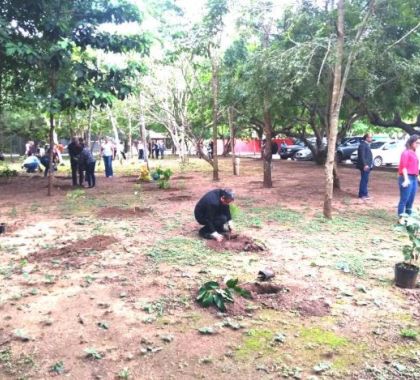 Balneário Municipal de Bonito recebe plantio de árvores nativas