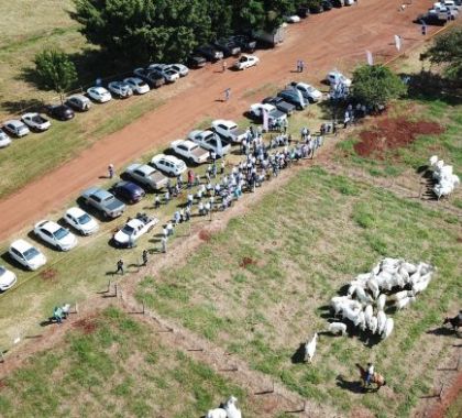 Genética Aditiva reúne cerca de 350 pessoas em Dia de Campo em MS