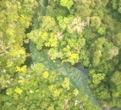 Meio Ambiente aprova isenção de ITR para propriedade com manancial preservado