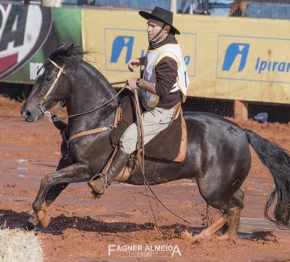 Campo Grande encerra o ciclo de Classificatórias ao Freio de Ouro