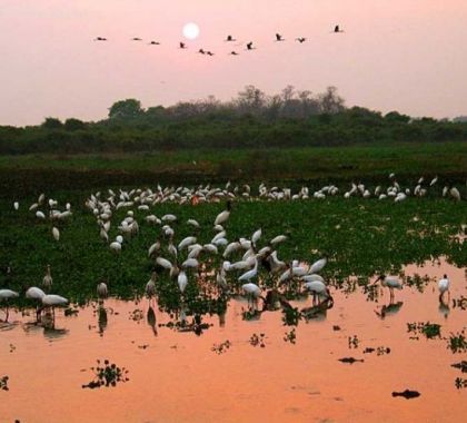 Festival América do Sul e Eco Pantanal Extremo serão realizados em novembro em Corumbá