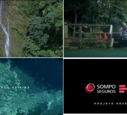 Sompo Seguros destaca relevância de projeto para preservação da água