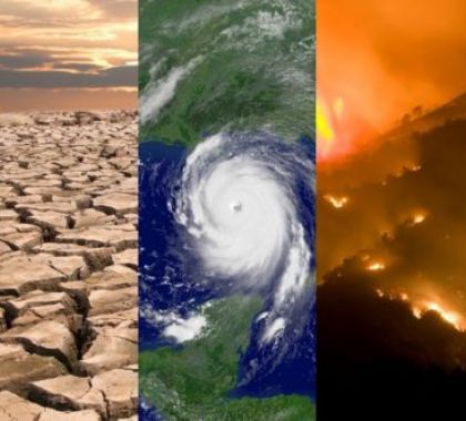Amazônia entra em estado crítico de acordo com relatório do IPCC