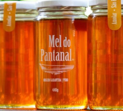 Programa Oásis proporciona mel puro e livre de agrotóxicos