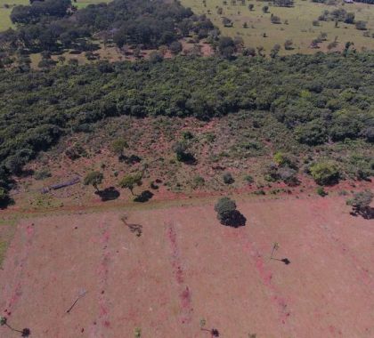 PMA de Jardim autua infrator por desmatamento ilegal em Guia Lopes da Laguna