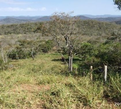 PMA de Bonito autua infrator por desmatamento ilegal de mais de 8 hectares de vegetação nativa
