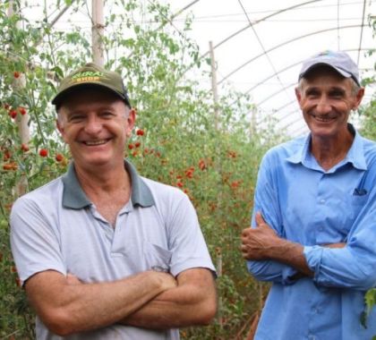 Primeiros vegetais rastreados serão expostos em feira de Campo Grande