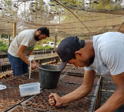 Instituições de Bonito realizam plantio de sementes no Recanto Ecológico Rio da Prata