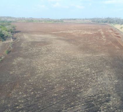 PMA de Bonito autua infrator por desmatamento, exploração ilegal de madeira e incêndio
