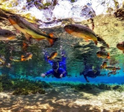 Mês de julho confirma aumento da procura por turismo de natureza, afirma Braztoa
