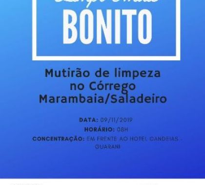 Unidos Conservamos se une para mutirão de limpeza no córrego Marambaia/Saladeiro em Bonito