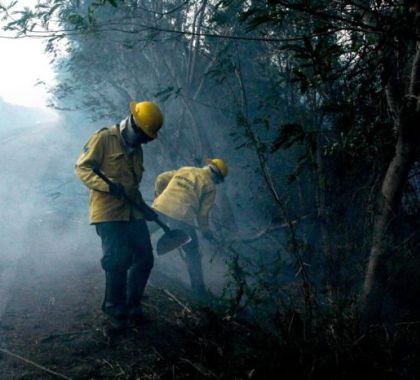 Bonito e Pantanal entram em situação de emergência devido a ocorrência de incêndios