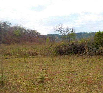 PMA de Porto Murtinho autua infrator por desmatamento ilegal de 46 hectares