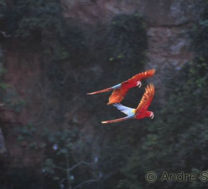 Atrativos turísticos de Bonito e Jardim são indicados ao Prêmio Isto é Mato Grosso do Sul