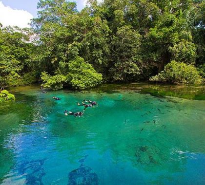 Ministro do Turismo participa de debate sobre os efeitos da pandemia no turismo brasileiro